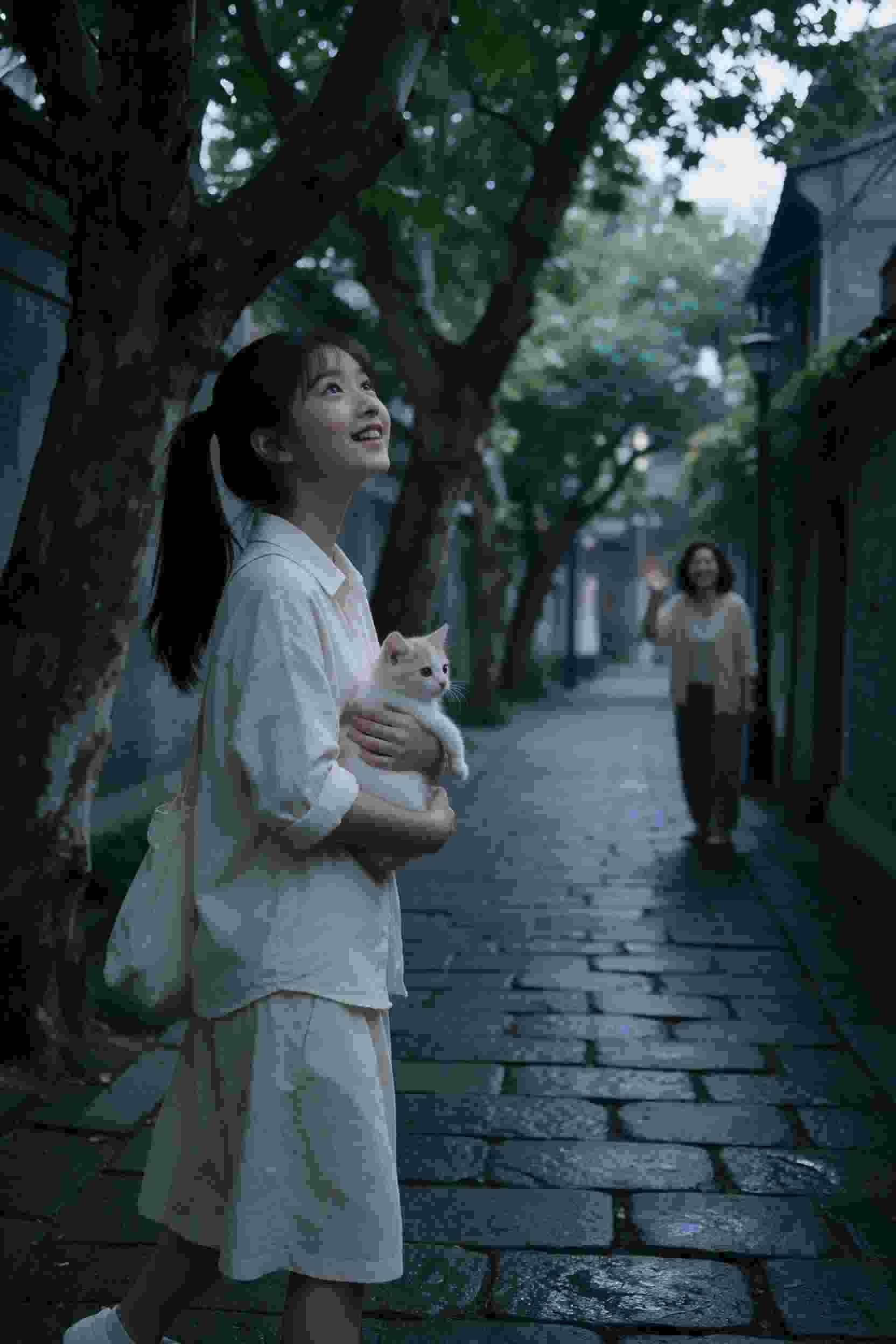 黑猫对决